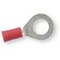 Oogkabelschoen rood M10